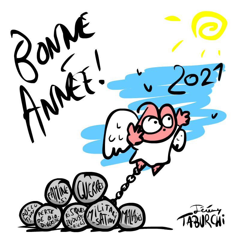 Bonne année 2021 !