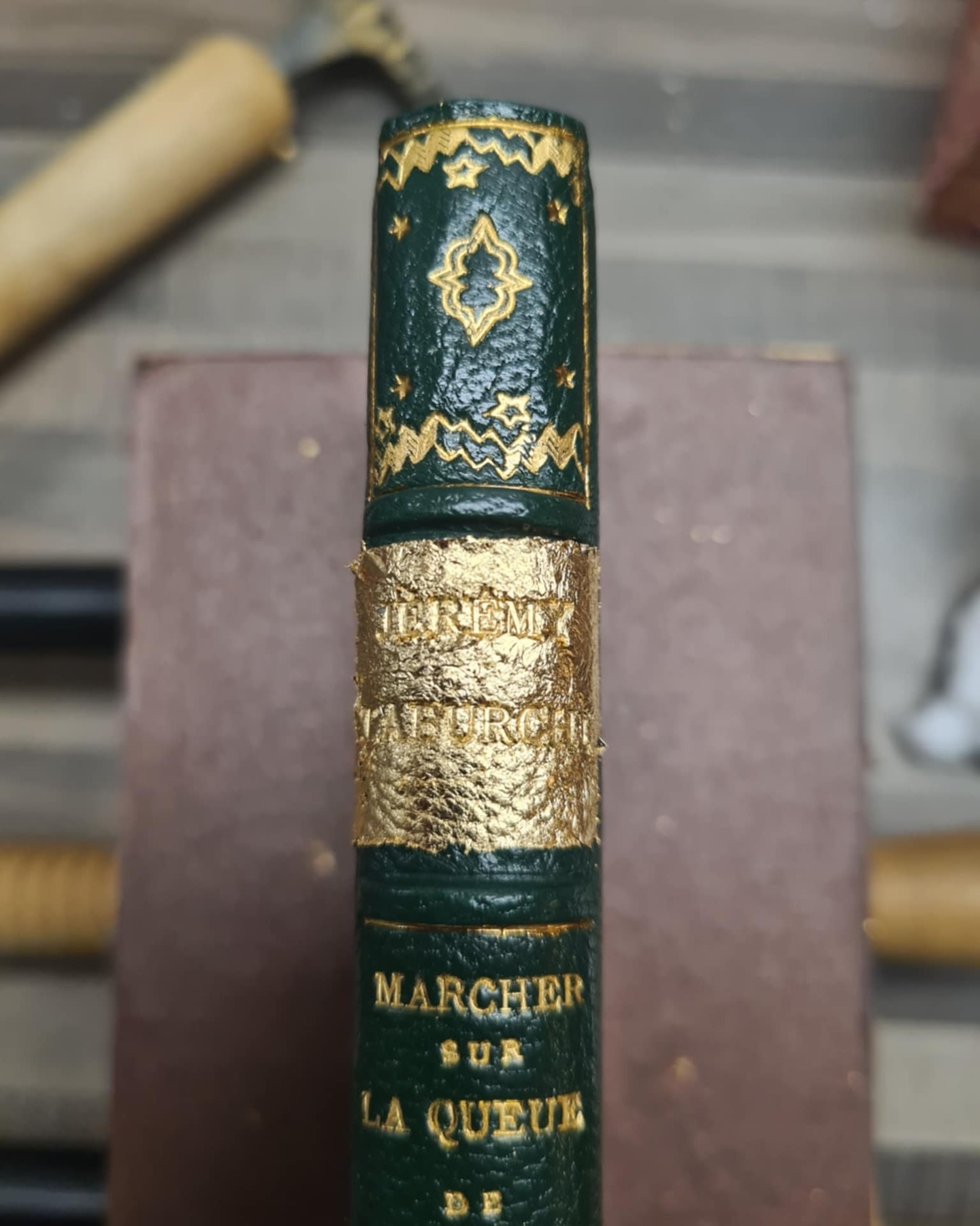 Un exemple de dorure appliquée sur le dos d’un des exemplaires reliés