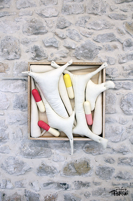 Composition en gélules par Jérémy Taburchi