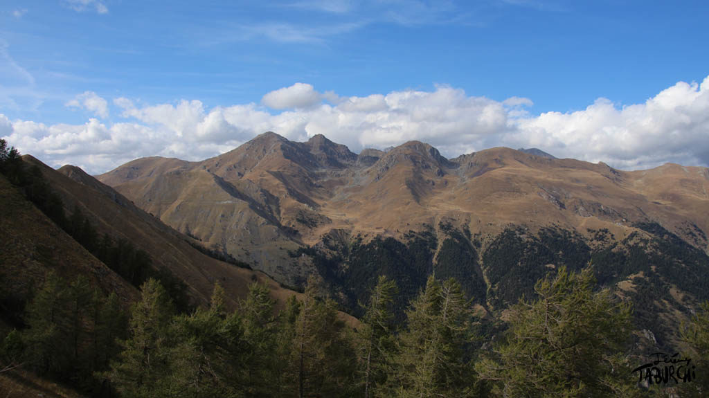Fin de la partie filmée du projet Une Théorie Naturelle