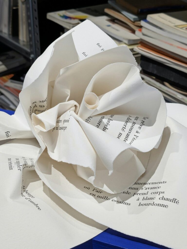 Une visite à la Librairie-galerie Laure Matarasso