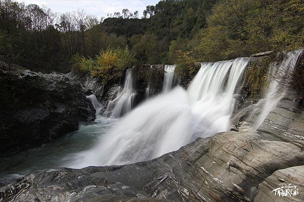 Cascade in Wonderland