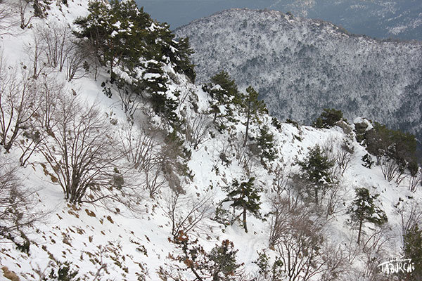 Paysage enneigé