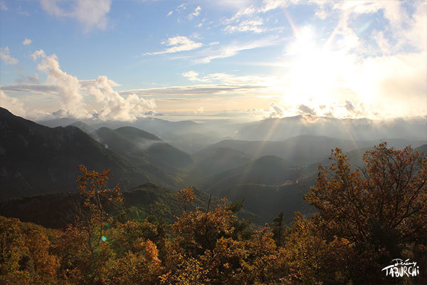 Un paysage ensoleillé